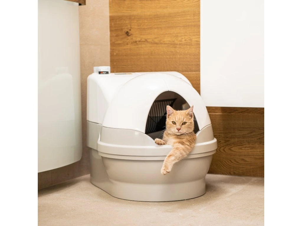 CatGenie A.I. – Roboter-Toilette mit GenieDome