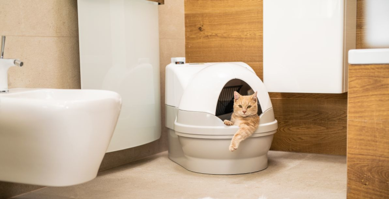 Orangefarbene Katze, die sich mit einer Pfote aus einem CatGenie 120+ mit GenieDome in einem modernen Badezimmer räkelt.
