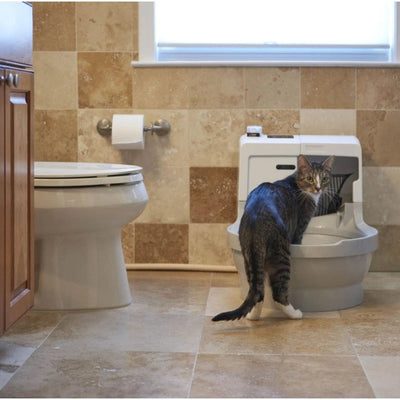 CatGenie A.I. ohne GenieDome