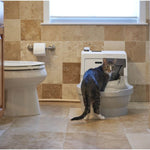 CatGenie A.I. mit GenieDome