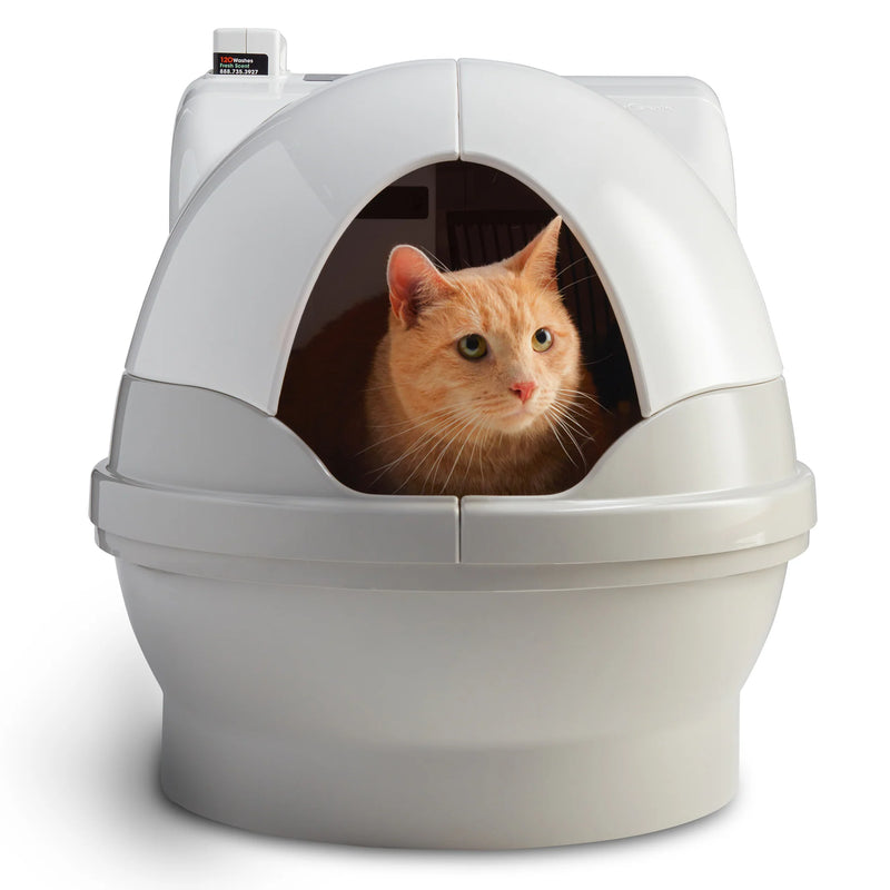 Wie eine selbstreinigende Katzentoilette deinen Alltag verändert