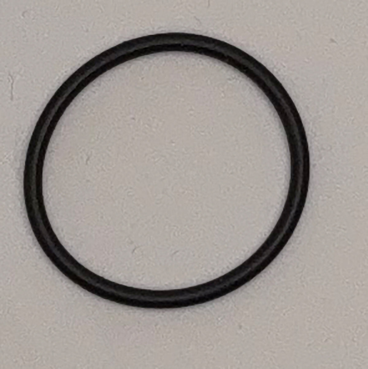 CatGenie - Inner O-Ring (80)