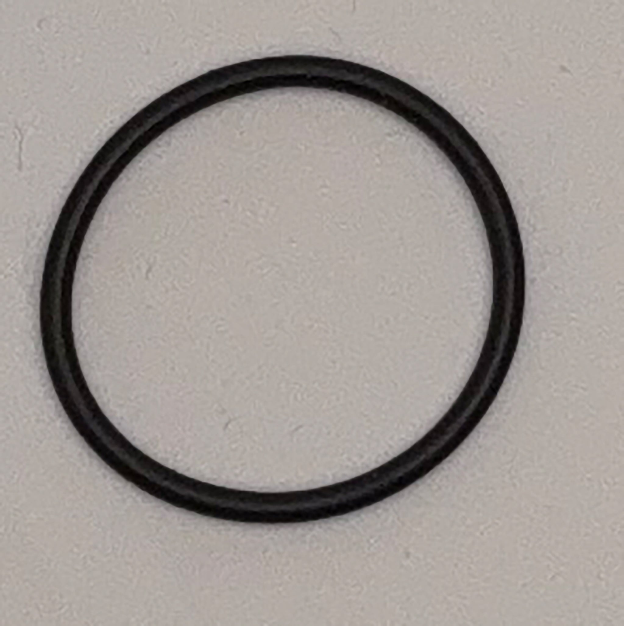 CatGenie - Inner O-Ring (80)