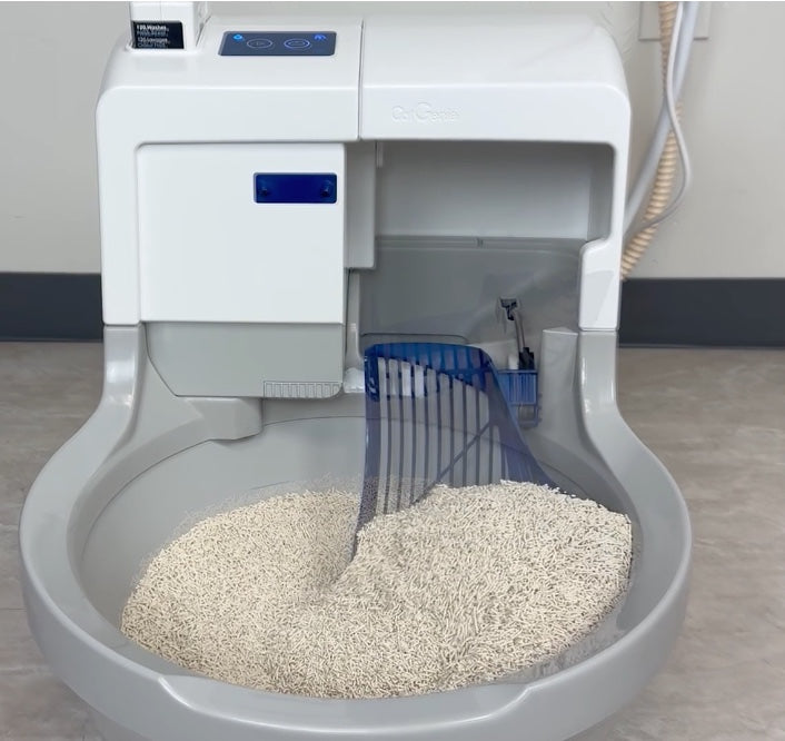 Die automatische Katzentoilette CatGenie Whoosh! bietet saubere Streu und einen blauen Rechen, der teilweise in die Katzentoilette eingetaucht ist.