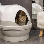 Eine Katze sitzt in einer CatGenie GenieDome für selbstreinigende Katzentoilette neben einem weißen Plüschhocker in einem modernen Badezimmer.