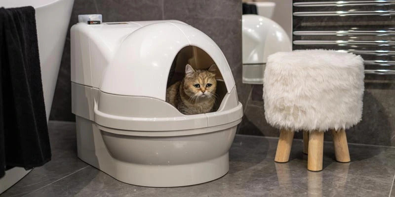 Eine Katze sitzt in einer CatGenie GenieDome für selbstreinigende Katzentoilette neben einem weißen Plüschhocker in einem modernen Badezimmer.