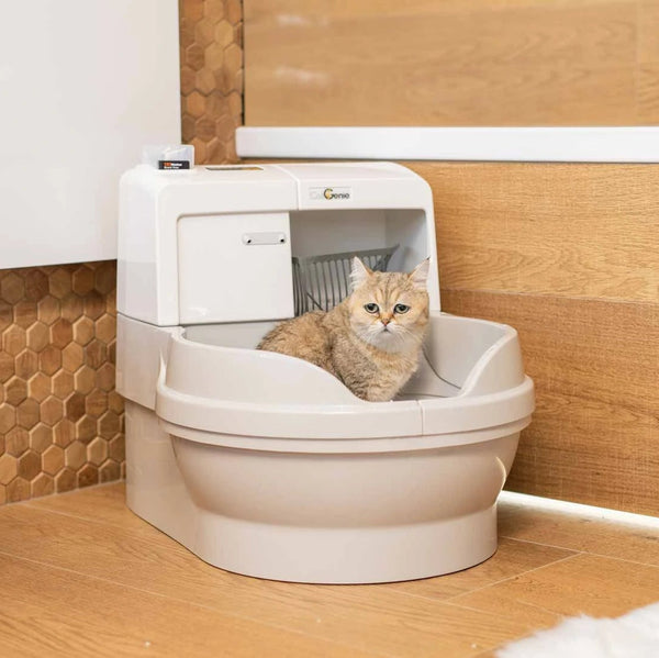 CatGenie 120+ ohne GenieDome