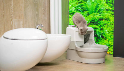 CatGenie 120+ ohne GenieDome